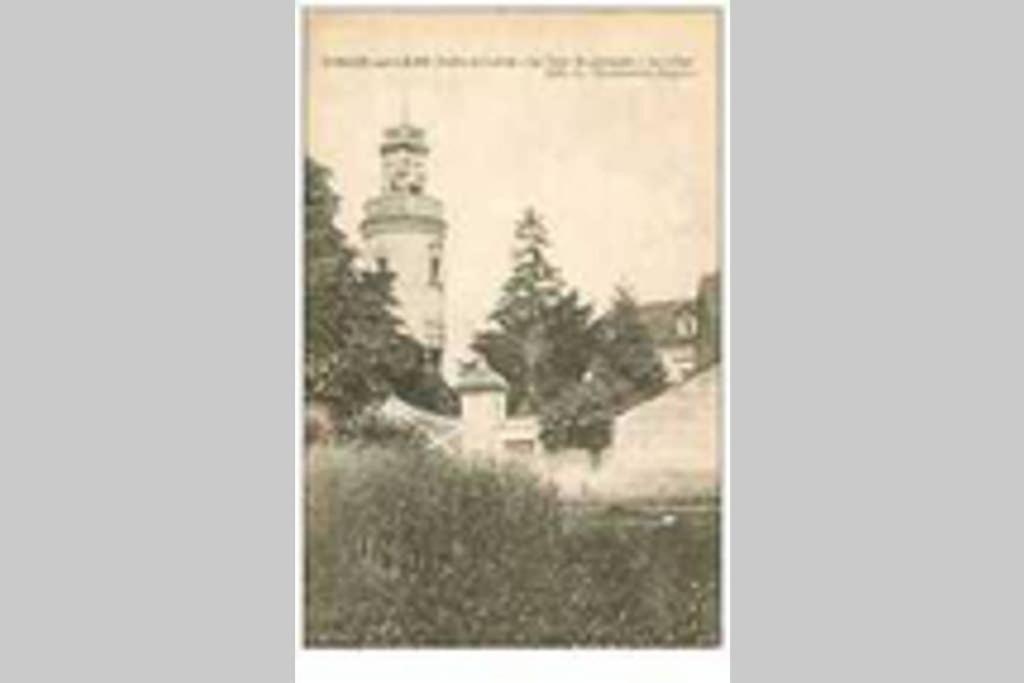 Chouzé-sur-Loire Le Logis De La Tour Saint Jacques 빌라 외부 사진