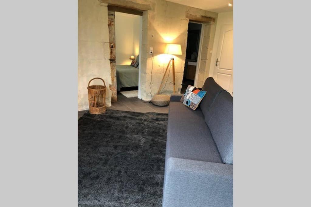 Chouzé-sur-Loire Le Logis De La Tour Saint Jacques 빌라 외부 사진