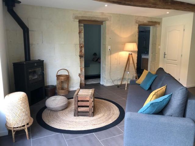 Chouzé-sur-Loire Le Logis De La Tour Saint Jacques 빌라 외부 사진